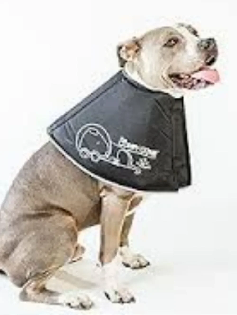 GORAPET Soft Recovery Collar - Black Large